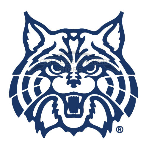 Customs Arizona Wildcats 1990 Pres Alternate Iron-on Transfers (Wall Stickers)NO.3726